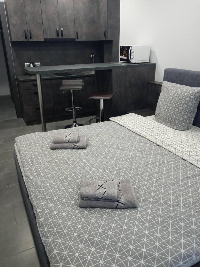 Luxury Central Apartment Oujhorod Extérieur photo