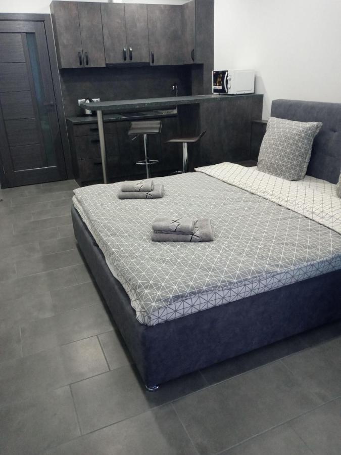 Luxury Central Apartment Oujhorod Extérieur photo
